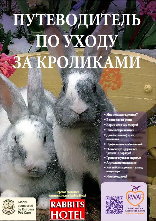 Путеводитель по уходу за кроликами go-veg.ru